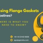IGP Flange gaskets for pipelines