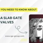 IGP's API 6A Slab Gate Valves