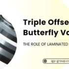 Role of laminated seal rings in triple offset butterfly valves